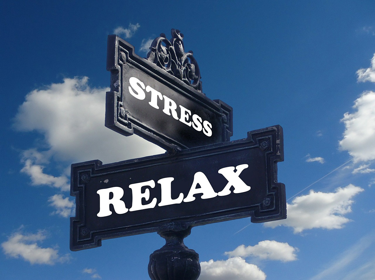6 métodos para combatir el estrés