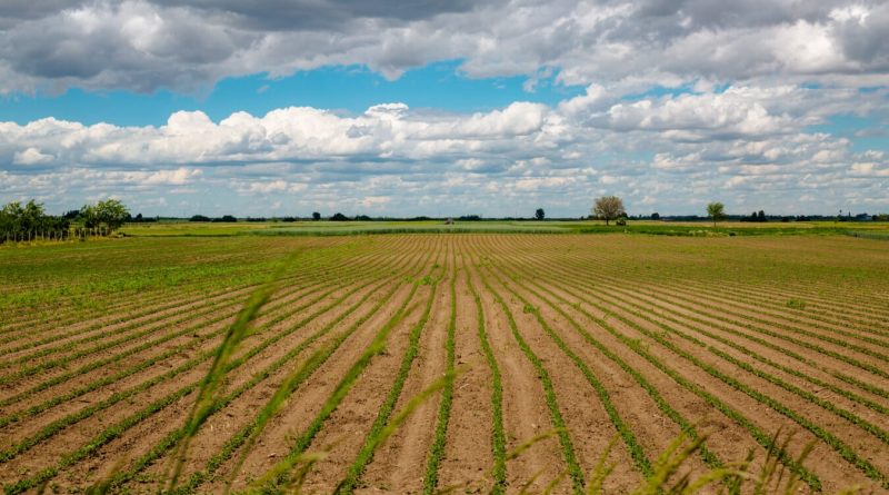 Agricultura regenerativa