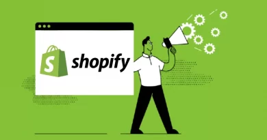 Shopify Developer