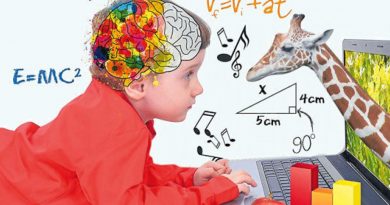 Neuroeducación